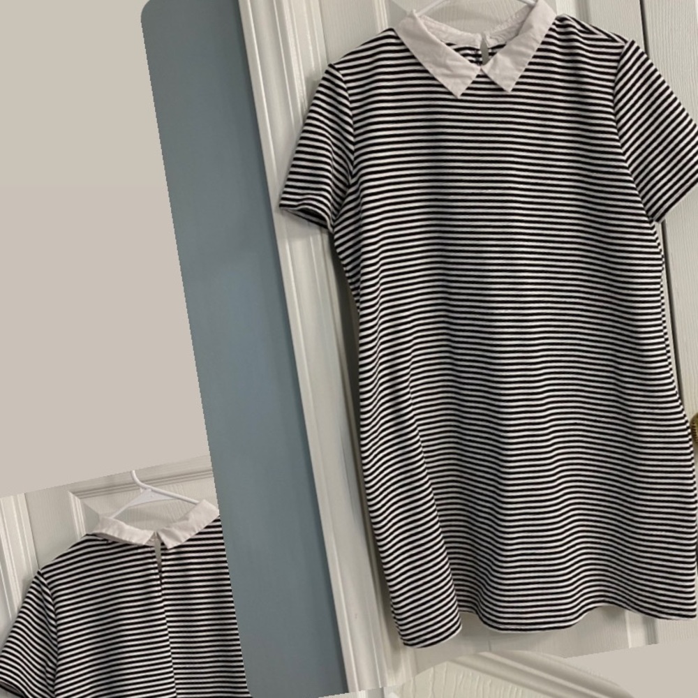 Zara collared dress black and white stripes